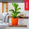 An orange plant pot with a green plant on a wooden surface, next to a grey blanket. Náhľad obrázku produktu