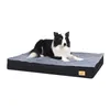 A border collie dog lying on a black and gray dog bed. Produktbild-Vorschau