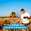 12x Il Grano Di Armando Lo Spaghetto Italienischer Weizen Produktbild-Vorschau 4