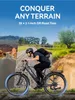 29" E-Bike 48V 18AH E-Mountainbike E-CityBike MTB 150kg APP Produktbild-Vorschau 16