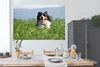 MuchoWow® Poster Ein Berner Sennenhund im hohen Gras Produktbild-Vorschau 3