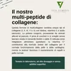 Vita Elements Polvere di Multicollagene 454g Articolazioni Anteprima dell’immagine prodotto 2
