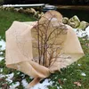 A young tree is covered with burlap for winter protection in a garden setting with snow on the ground. Náhled obrázku produktu