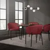 ML-Design stoličky do jedálne sada 2 červených kuchynských Náhľad obrázku produktu 8