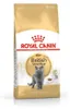 Royal Canin British Shorthair Adult, Dorosły, Brytyjski Podgląd zdjęcia produktu 3