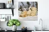 MuchoWow® Poster Eisbär - Schnee - Höhle - Jungtier 50x50 Produktbild-Vorschau 3