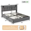 CDGlobal Polsterbett 160x200cm mit USB/Typ-C und LED , Produktbild-Vorschau 7