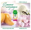 Air Wick Freshmatic Max Starter-Set Sommervergnügen 250ml + Produktbild-Vorschau 6