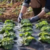 108 g/m² onkruidvlies, tuinvlies tegen onkruid, 1,2 x 30,5 Productafbeelding-voorbeeld 8