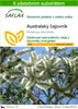 SAFLAX - Australský čajovník - Melaleuca alternifolia - 400 Náhled obrázku produktu 1