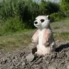 Peluche Suricato 14 Cm Ecologico Anteprima dell’immagine prodotto 2
