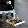 Fenster Futtertisch 'Bird Swing Vide' | perfekt um Vögel zu Produktbild-Vorschau 2