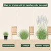 Stauden Gänge 1 x Cortaderia selloana 'Evita' im 1 Liter Produktbild-Vorschau 7