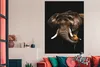 MuchoWow® Poster Elefant - Schwarz - Papagei 120x180 cm - Produktbild-Vorschau 3
