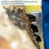 Akumulatorowa pilarka łańcuchowa SCHEPPACH IXES 20V Podgląd zdjęcia produktu 18