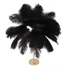 Lampa stołowa Feather 3 kolory Ściemnialny przełącznik Podgląd zdjęcia produktu 3