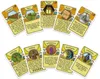 Agricola: Starter e set di espansione Consul Dirigens Anteprima dell’immagine prodotto 7