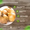Steckzwiebeln Stuttgarter Riesen (500 gr) - Produktbild-Vorschau 6