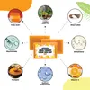 Paremmin Zitronen Kurkuma & Kojic Acid Seife – Turmeric & Produktbild-Vorschau 6