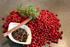 Food-United PREISELBEEREN-KOMPOTT Miniglas 40x 38g von Produktbild-Vorschau 2