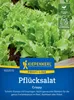 Artikelbild 2 von 'Pflücksalat Crispy' aus der Kategorie Pflücksalatsamen Produktbild-Vorschau