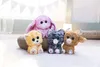 NICI Kuscheltier GLUBSCHIS Bär Tummunu Produktbild-Vorschau 5