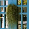 Spanisches Moos - 3 Stk - Tillandsia usneoides - Höhe Produktbild-Vorschau 5