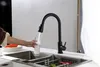 A person is filling a glass with water from a black kitchen faucet. Anteprima dell’immagine prodotto