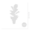 Bloomique - Ficus Lyrata - Roślina lirolistna - Rośliny Podgląd zdjęcia produktu 6