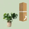 Monstera Deliciosa w koszu Palmleaf - roslina doniczkowa Podgląd zdjęcia produktu 4