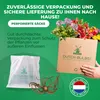 Eremurus (Steppenkerze) - roślina wieloletnia, odporna na Podgląd zdjęcia produktu 5