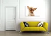 Wallario Premium Leinwandbild Lustiger Hund mit fliegenden Produktbild-Vorschau 2
