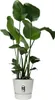 Pot Elho Greenville Blanc D.30cm Pot De Fleurs Design, Voir les images du produit 4
