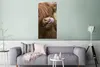 MuchoWow® Poster Schottischer Highlander - Braun - Tiere Produktbild-Vorschau 5