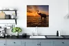 MuchoWow® Poster Elefant - Meer - Tiere - Sonnenuntergang - Produktbild-Vorschau 3