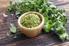 SAFLAX Anzucht Set - BIO - Oregano - Origanum heracleoticum Produktbild-Vorschau 7