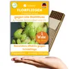Florfliegenlarven gegen Blattläuse, Spinnmilben, Thripse & Produktbild-Vorschau 1