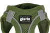 Szelki dla psów Gloria 51–52 cm, zielone, długość 33,4–35 Podgląd zdjęcia produktu 1