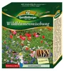Quedlinburger Saatgut - Wildblumenmischung - Samen - Produktbild-Vorschau 2