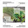 Schnittknoblauch Samen - Küchenkräuter Saatgut aus Produktbild-Vorschau 5
