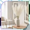 Lot de 10 décorations artificielles en herbe de pampa Voir les images du produit 9