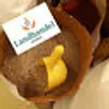 LanDixx Sonnenblumenkerne geschält 2 kg Vogelfutter Produktbild-Vorschau 2