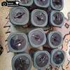 Gewürzbehälter Set 12x Stück mit Gewürzmühle mit Deckel Produktbild-Vorschau 8