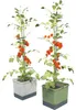 Gusta Garden Tom Tomato, Topfpflanzer, Freistehend, Produktbild-Vorschau 3