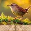 A bird perched on a mossy branch with a blurred golden background. Produktbild-Vorschau
