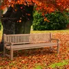 CLP Teakbank Jackson V2 Gartenbank mit Rückenlehne Produktbild-Vorschau 5