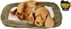 Perfect Petzzz 96408 Mischlingshund Produktbild-Vorschau 5