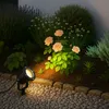 A garden spotlight illuminates a rose bush at night. Produktbild-Vorschau