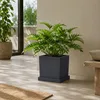 Plattformwagen IPRS300 | Anthrazit Produktbild-Vorschau 10