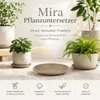 Pflanztopfuntersetzer Mira Taupe Ø 49cm - Frostsicher & Produktbild-Vorschau 7